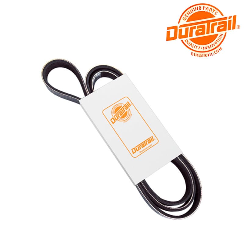 CORREA-PLANA-5.2-L.-1133.61-53008744