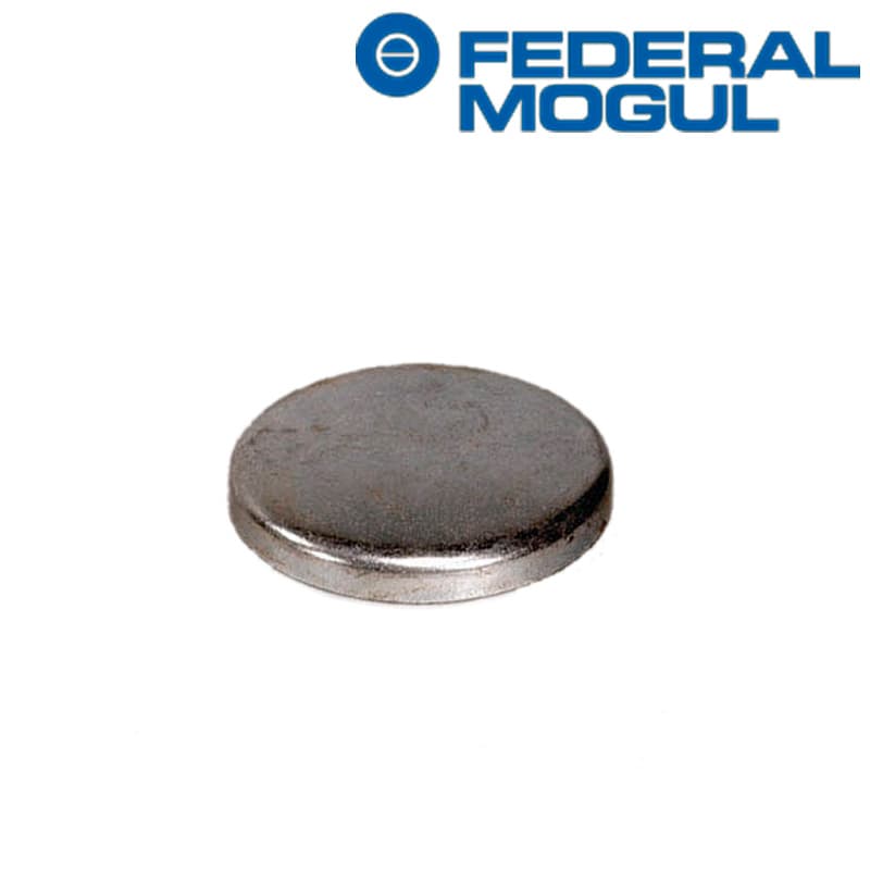 TAPON-ANTIHELADAS-TRASERO-ARBOL-DE-LEVAS-4.0-L.-1355.10-381-3084