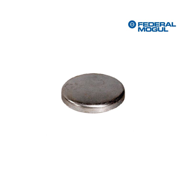 Tapon-antiheladas-trasero-Arbol-de-levas-4.0-L.-1355.10-381-3084-1