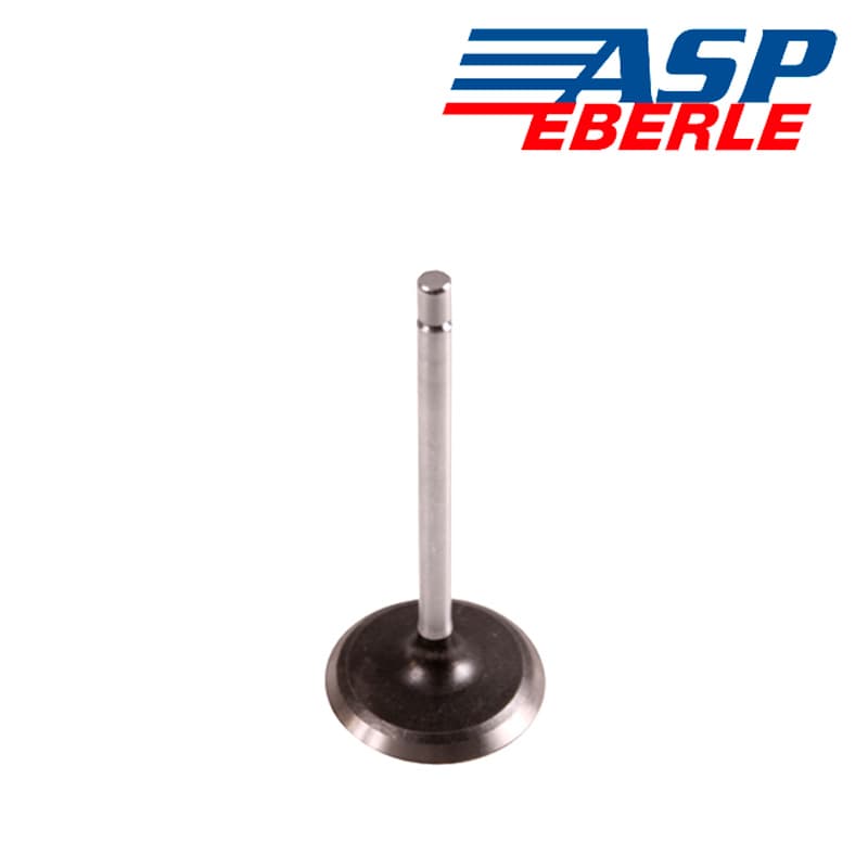 VALVULA-DE-ESCAPE-0.003-TAMANO-EXTRAGRANDE-5.2-L.-1332.71-53009291